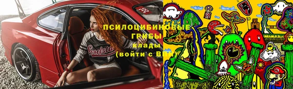 МДПВ Алексеевка