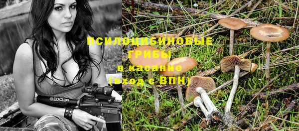 каннабис Алзамай