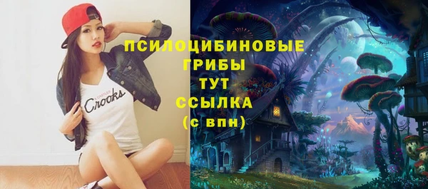 МДПВ Алексеевка