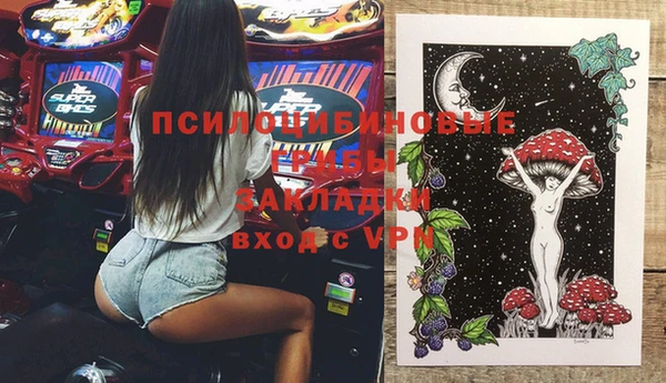 МДПВ Алексеевка