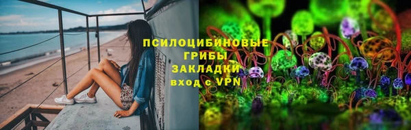 МДПВ Алексеевка